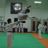 korea_wtf_demo 12